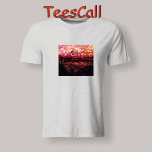 Tshirts disney tangled lantern