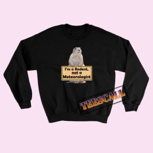 Sweatshirts Funny Groundhog Day